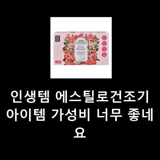인생템 에스틸로건조기 아이템 가성비 너무 좋네요 인생템 에스틸로건조기 아이템 가성비 너무 좋네요