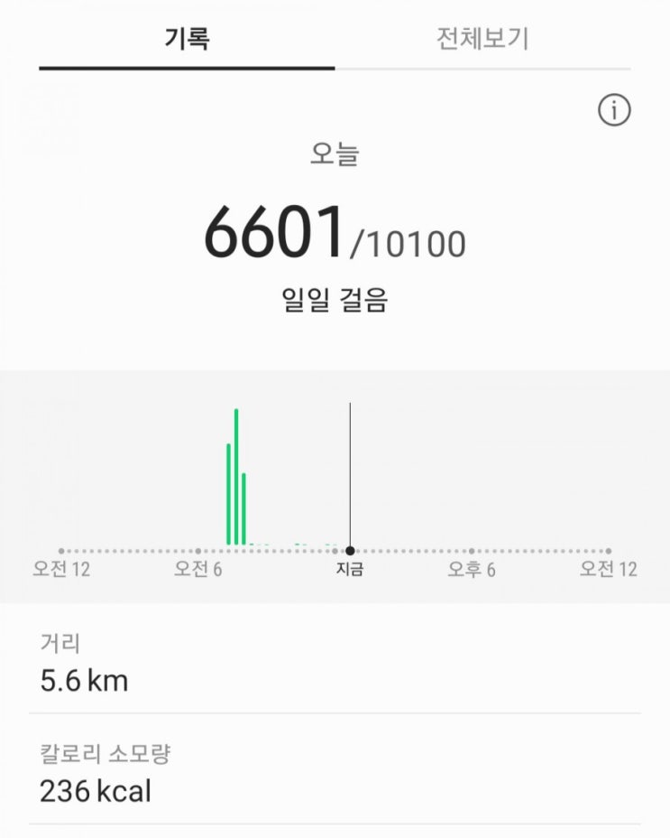  12월 29일 운동기록