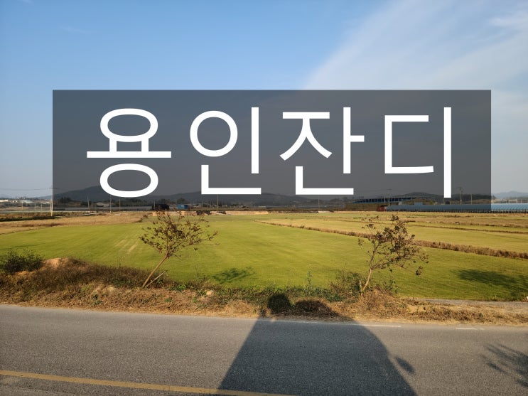  경기도의 중심 용인 롤잔디 출발