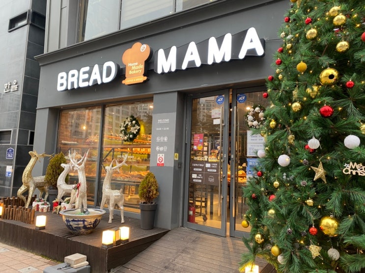  세종 브레드마마 도담점 / 여민전 매출 3위 세종 빵맛집