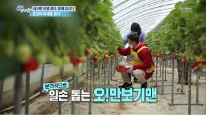  감사일기/137일차/ 큰시누하고 통화한것이 감사합니다.