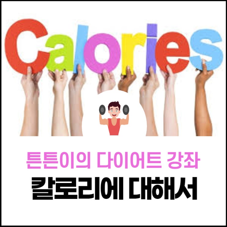  다이어트할 때 칼로리는 어떤 영향을 미칠까?
