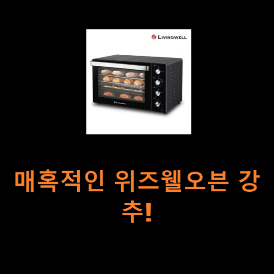 매혹적인 위즈웰오븐 강추! 매혹적인 위즈웰오븐 강추!