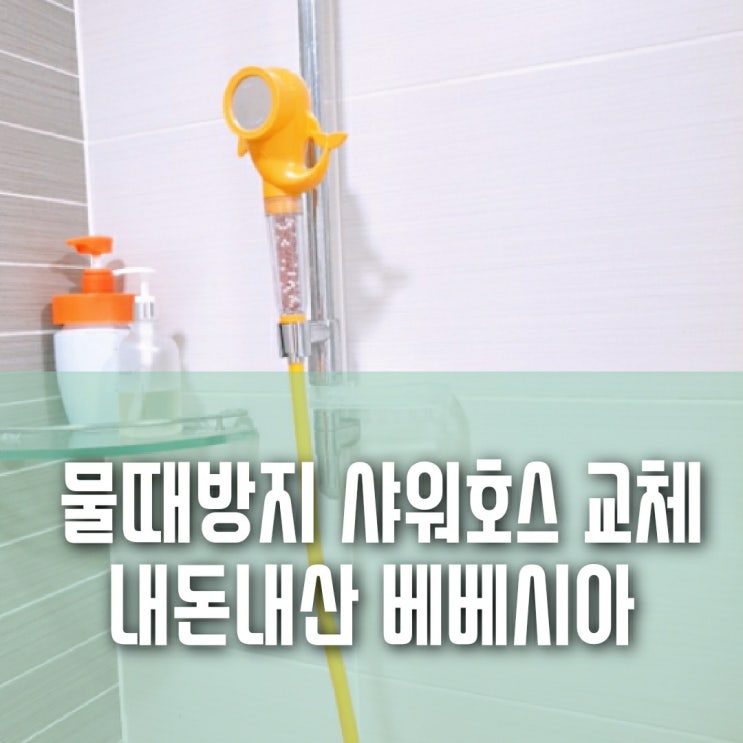 물때방지 샤워호스, 내돈내산 베베시아 물때방지 샤워호스, 내돈내산 베베시아