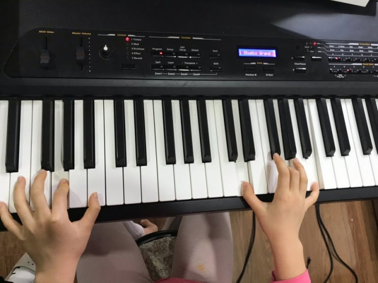 피아노 코드 배우기 (G코드,Em7코드)