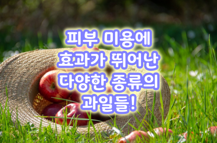  피부 미용에 효과가 뛰어난 다양한 종류의 과일들!