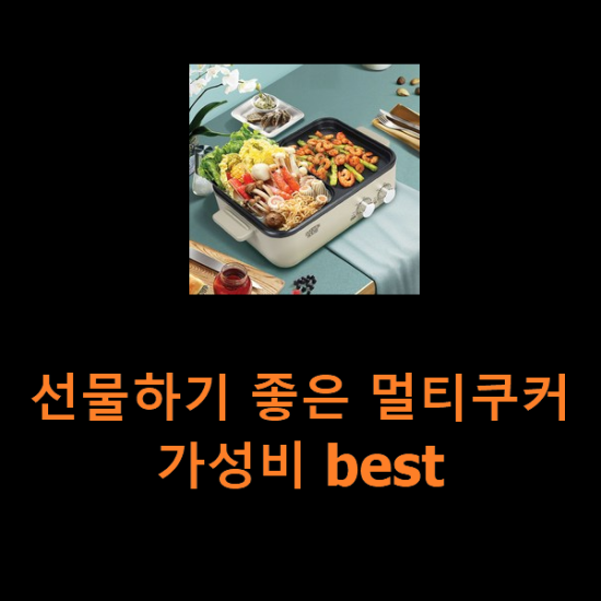 선물하기 좋은 멀티쿠커 가성비 best