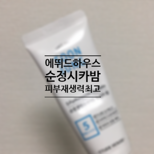  피부가 예민해질 땐 에뛰드 순정 시카밤