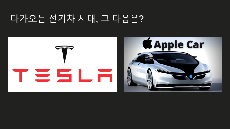  자동차 업계 격변의 시대 : 테슬라 그 다음은?