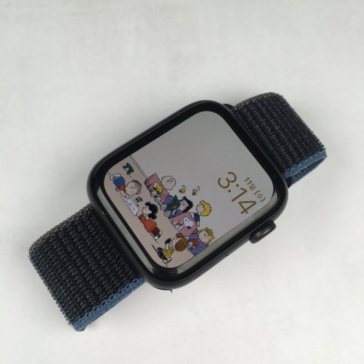  [줄질]스포츠루프 차콜 스트랩 +애플워치6 스페이스 그레이 44mm