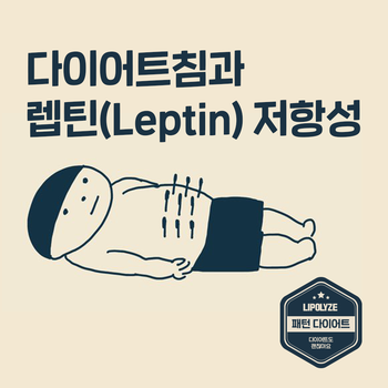 마포역 다이어트한의원. 비만침과 렙틴저항성 마포역 다이어트한의원. 비만침과 렙틴저항성