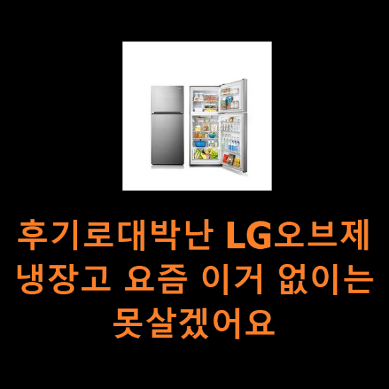 후기로대박난 LG오브제냉장고 요즘 이거 없이는 못살겠어요