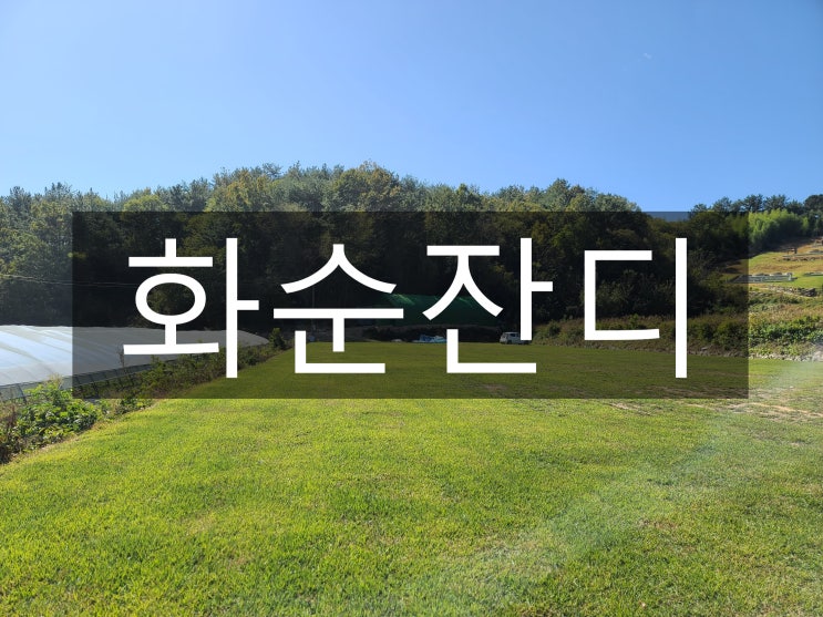  맑고 풍부한 물이 흐르는 화순 잔디 배달했어요
