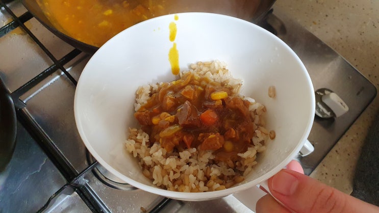  [집 밥 일기] 카레 레시피
