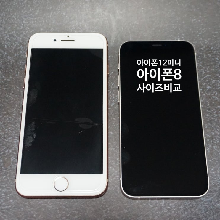  아이폰12 미니 사이즈가 장점 배터리는 단점인 이유