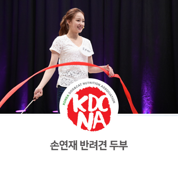  [연예인 강아지 고양이] 손연재 반려동물 두부 수원/홍대/서울/부천/인천/용인/성남_698