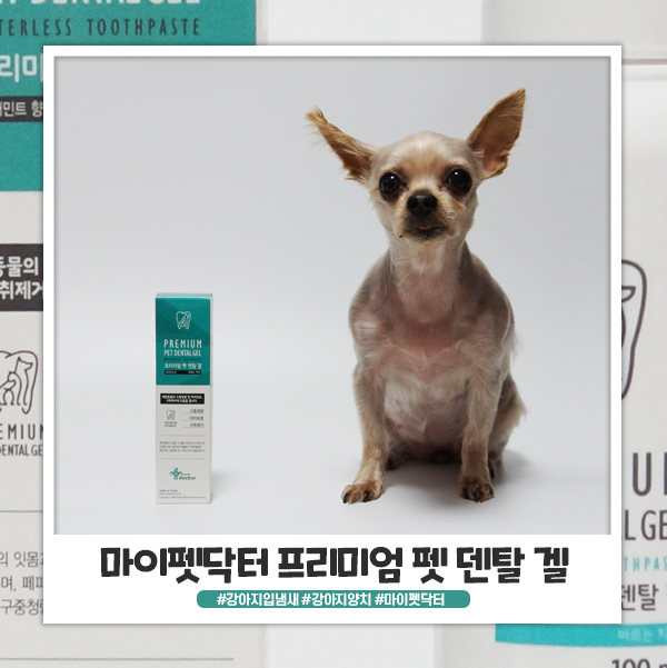 마이펫닥터 프리미엄 펫 덴탈 겔 강아지양치 할 때 사용해요 마이펫닥터 프리미엄 펫 덴탈 겔 강아지양치 할 때 사용해요