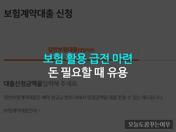 보험을 활용한 급전 마련! 서류도 필요 없어 돈 필요할때 유용한 대출