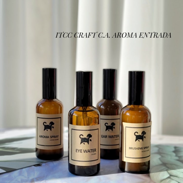  ITCC Craft C.A. Aroma Entrada 반려동물 아로마 수료증 클래스