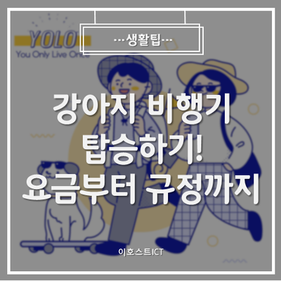  [생활팁] 강아지 비행기 탑승하기! 요금부터 규정까지 알아보자