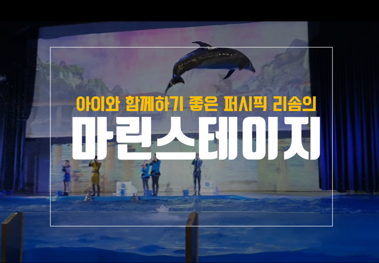  제주 퍼시픽 리솜 마린스테이지 공연 후기 with 22갤 아기