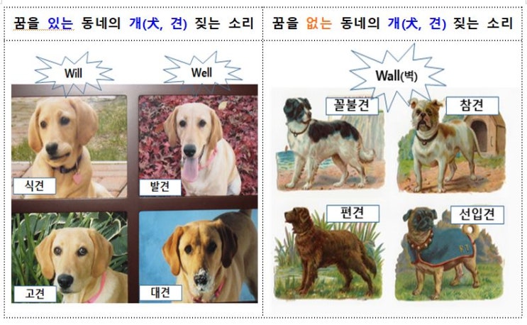  세상을 바라보는 개(犬, 견) 8마리