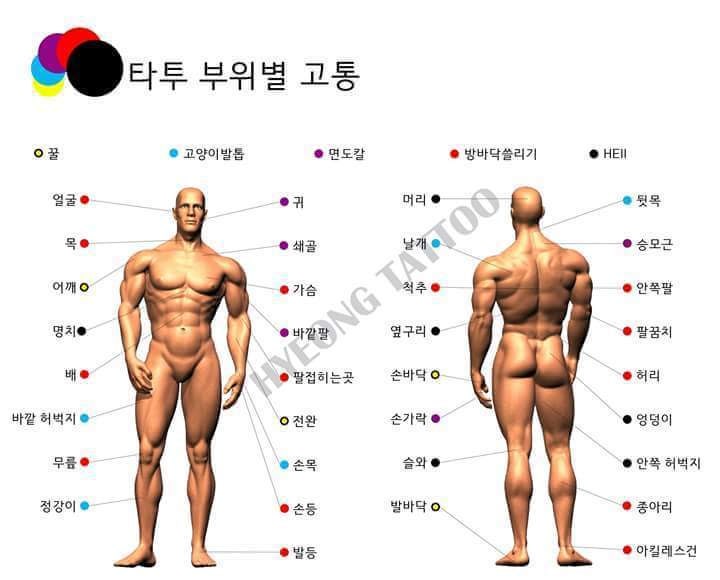 타투. 부위별 고통! 어디가 제일 아플까?? : 네이버 블로그