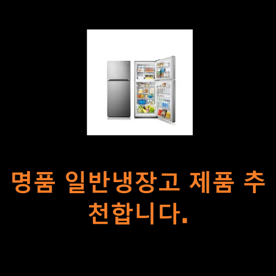 명품 일반냉장고 제품 추천합니다.