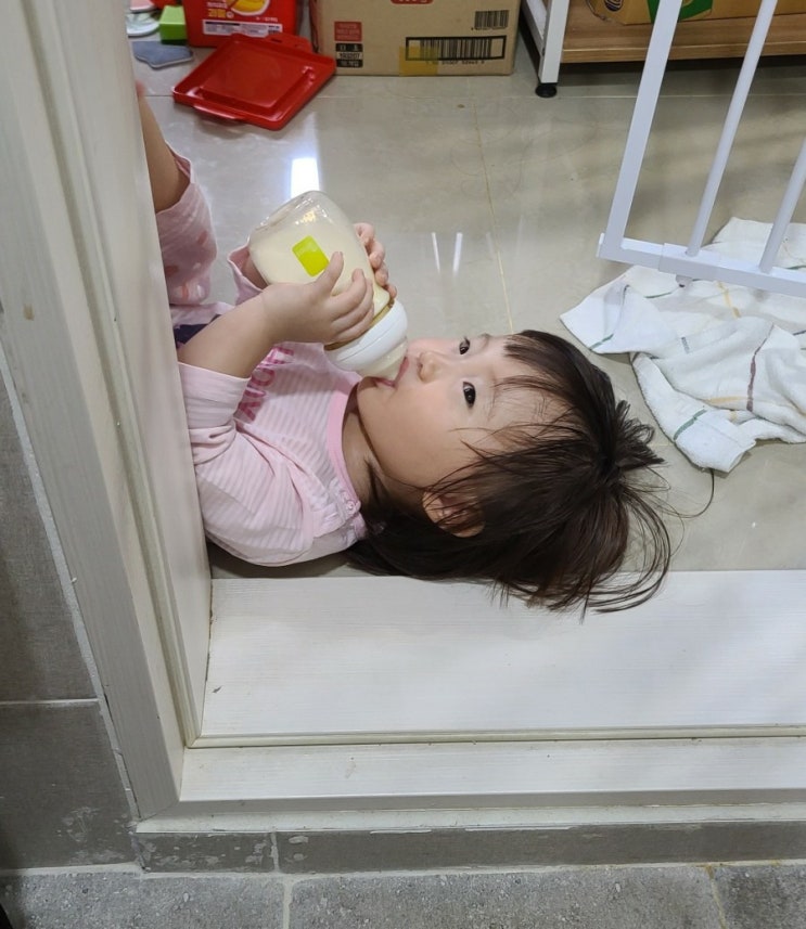 뽐비네[아기사진모음] 뽐비야뭐하니3탄