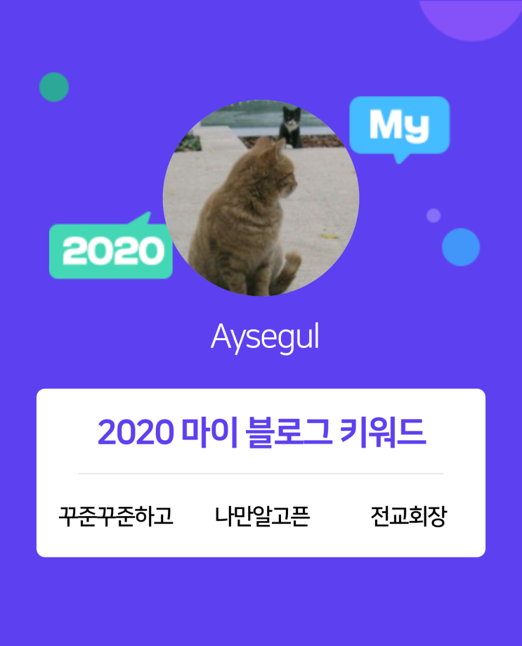  [2020 마이블로그 리포트] 한 눈에 보는 올해 내 블로그 데이터!