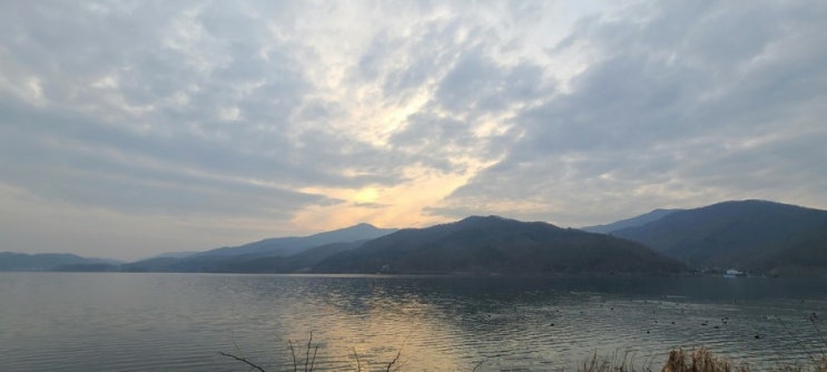  강한~종목이어라