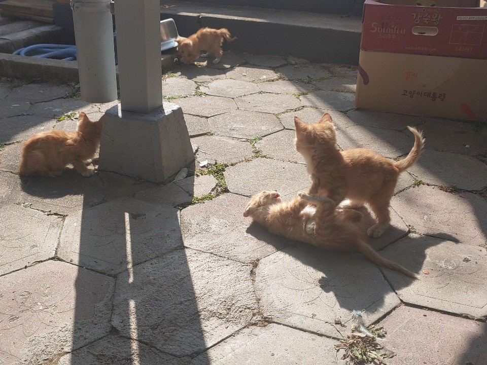 그림애컬쳐하우스 사진 6