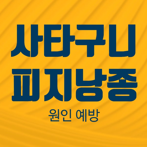 여자 사타구니 피지낭종 - 원인 주의사항