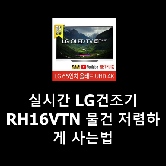 실시간 LG건조기RH16VTN 물건 저렴하게 사는법 실시간 LG건조기RH16VTN 물건 저렴하게 사는법