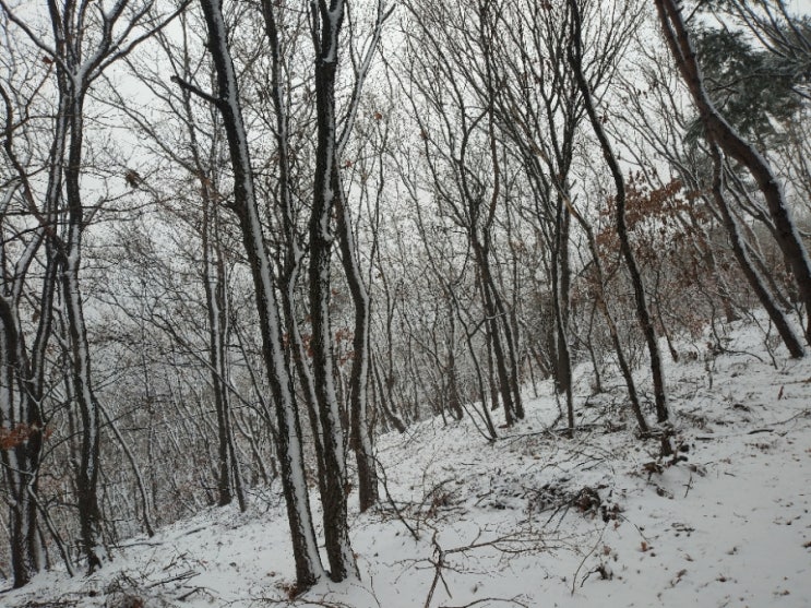  눈오는 광교산 산행