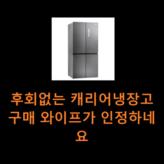 후회없는 캐리어냉장고 구매 와이프가 인정하네요 후회없는 캐리어냉장고 구매 와이프가 인정하네요