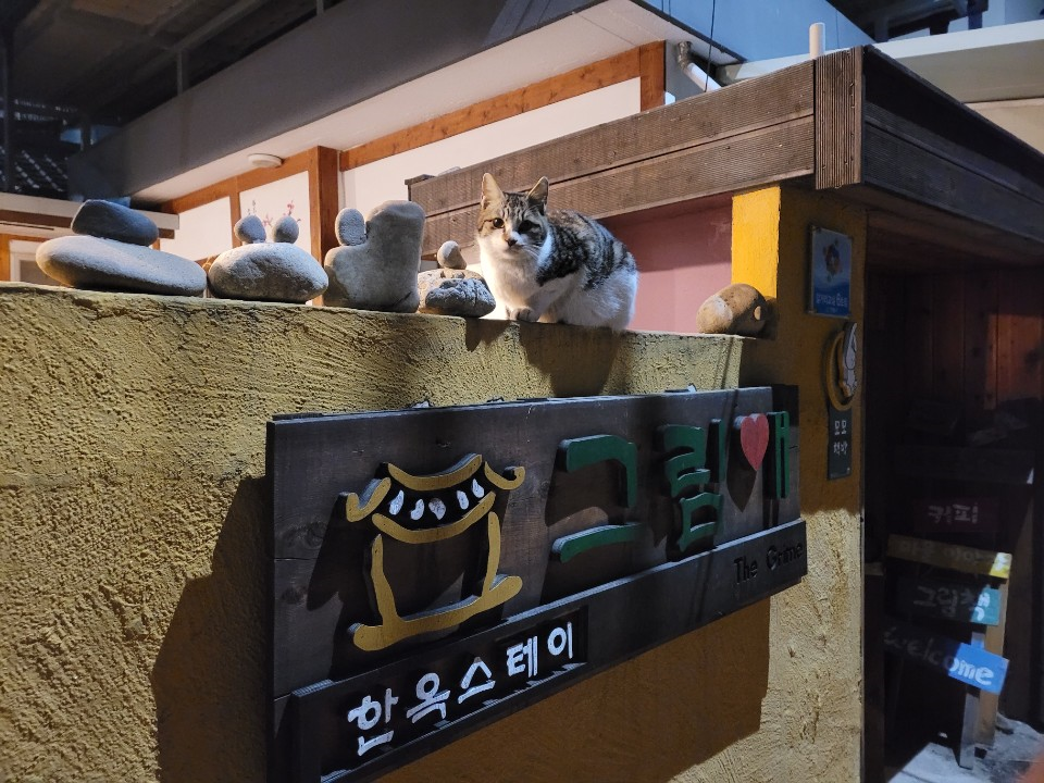 그림애컬쳐하우스 사진 4