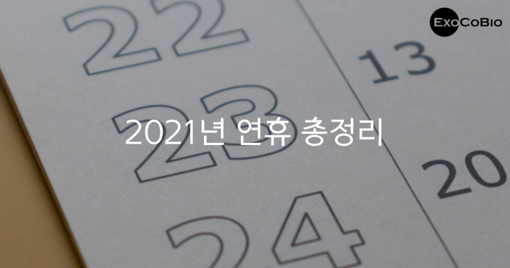  2021년 신축년 새해 공휴일 알아보기(빨간날 총정리!)