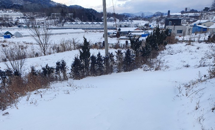  그대 때문에 따뜻한 겨울