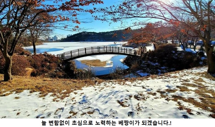 ‘골목식당’ 공릉동 찌개백반집, 경찰 출동한 사연