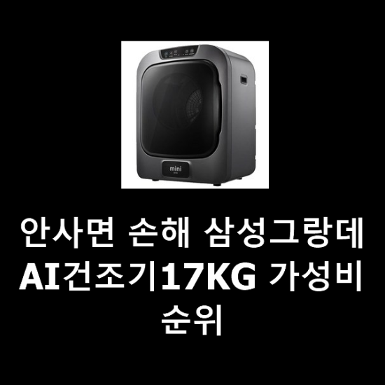 안사면 손해 삼성그랑데AI건조기17KG 가성비 순위 안사면 손해 삼성그랑데AI건조기17KG 가성비 순위