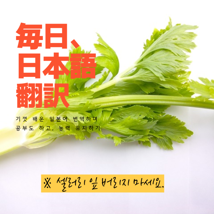  셀러리 잎을 이용한 요리 레시피