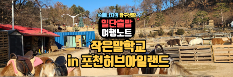  유아승마체험 포천작은말학교(in 포천허브아일랜드)