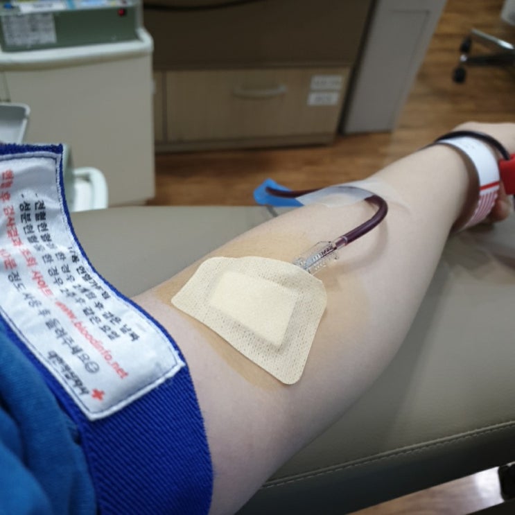  크리스마스 이브 기념 헌혈하고 온 후기