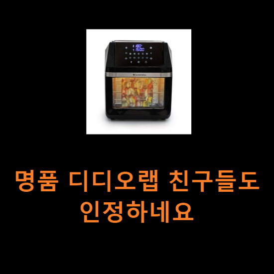 명품 디디오랩 친구들도 인정하네요 명품 디디오랩 친구들도 인정하네요