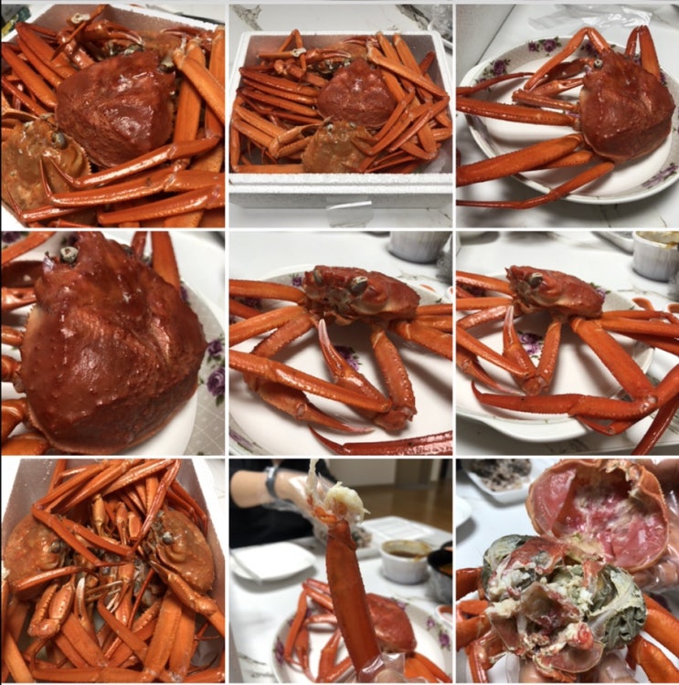  리뷰 하고싶었는데... 눈물뿐 ..