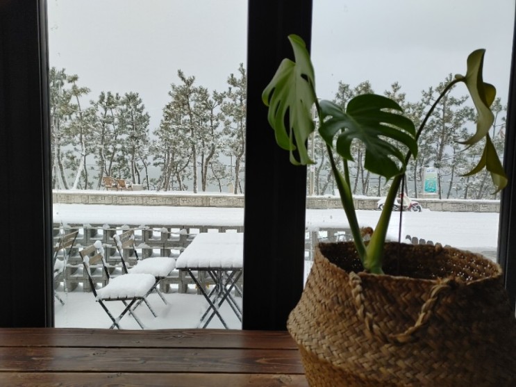 [대천/보령]코랄커피-대천해수욕장 앞 분위기,맛 좋은 카페(feat, 눈 내린 대천해수욕장)