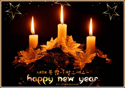  새해 복 많이 받으세요~Happy New Year