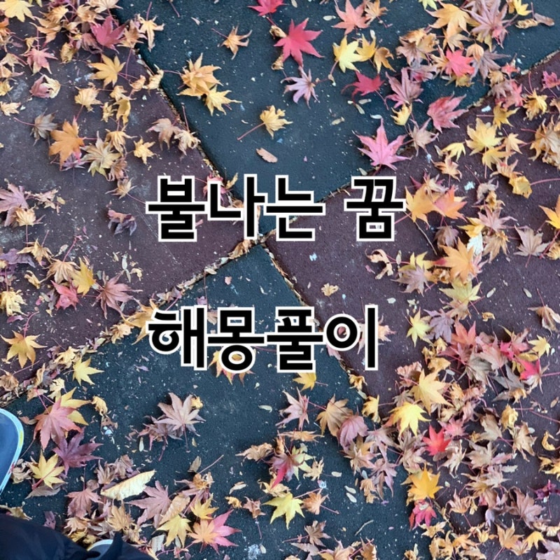 불에 타죽는 꿈 불나는 꿈 재미로 보는 꿈 해몽 풀이