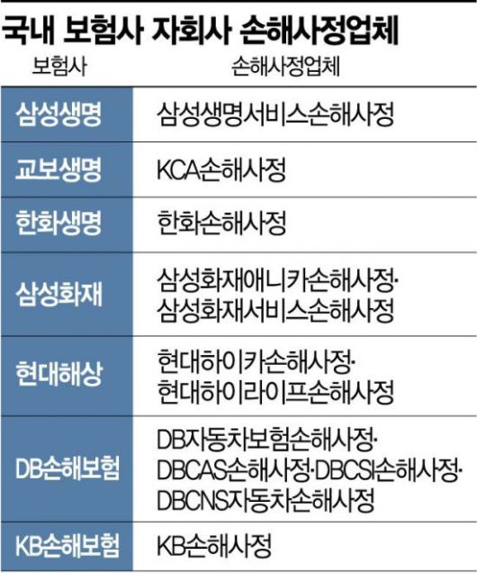 보험사 편든다고 오명쓰던 손해사정사…공정성 커지나 보험사 편든다고 오명쓰던 손해사정사…공정성 커지나